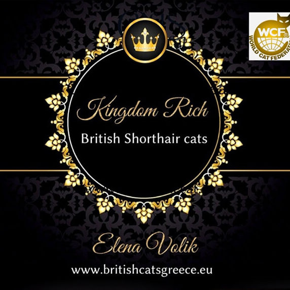 Ektrofeio Kingdom Rich British Shorthair Cattery