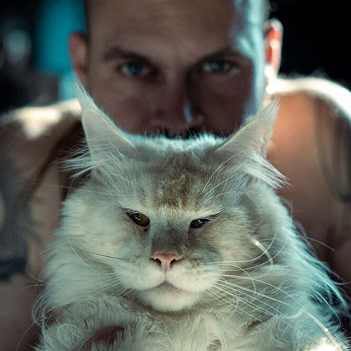 Ektrofeio Voodoo Claws Maine Coon Cattery