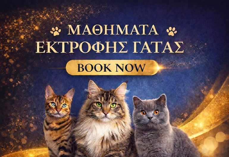 Mathimata Ektrofis Gatas