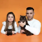 Ophelia British Shorthair Cattery